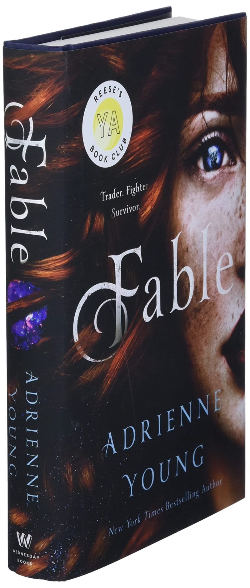 ⁦Fable (The World of the Narrows #1)⁩ - الصورة ⁦3⁩